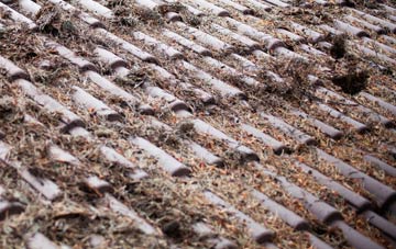 Higher Brixham roof cleaning companies