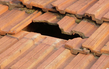 roof repair Higher Brixham, Devon